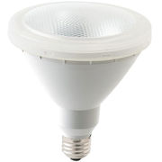 東京メタル工業 LED電球 屋外用ビームランプ 昼白色 100W相当 口金E26 LDR9