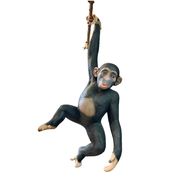 080079 Hanging Monkey