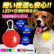 首輪 光る LED ライト 光る首輪 ペンダント 充電式 USB 犬 ランニング ウォーキング 散歩