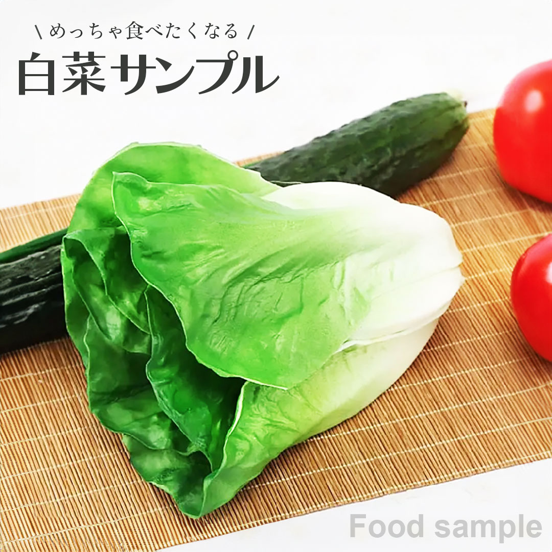 食品サンプル 白菜 リアル 野菜 はくさい サンプル品 見本 見本品 模造 フェイク イミテーション 材料