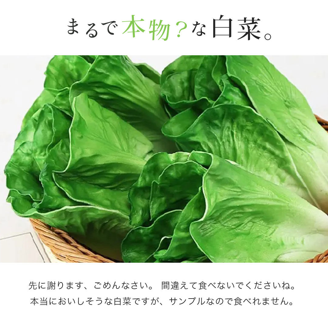 食品サンプル 白菜 リアル 野菜 はくさい サンプル品 見本 見本品 模造 フェイク イミテーション 材料 AiO JAPAN 株式会社  問屋・仕入れ・卸・卸売の専門【仕入れならNETSEA】