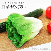 食品サンプル 白菜 リアル 野菜 はくさい サンプル品 見本 見本品 模造 フェイク イミテーション 材料
