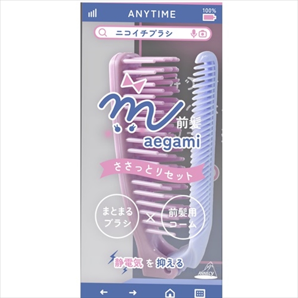 NB-480 ニコイチブラシ 【 アヌシ 】 【 ブラシ 】