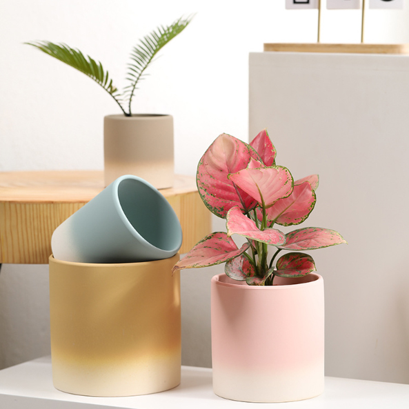 植木鉢 丸型ポット 筒 プランター 多肉ポット 園芸用品