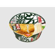 日清食品 どん兵衛 きつねうどん 東日本 96gx12