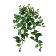 MAGIQ 難燃斑入りポトスバイン　1本　FG612504-zzz