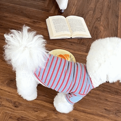 【2024夏新作】 犬服 ペット服 Tシャツ ドッグウェア 犬猫兼用 ワンちゃん用 ボーダー柄 韓国風
