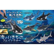 海のいきものプルバックカー【ミニカー】【おもちゃ】