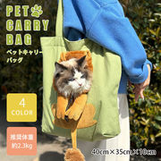 猫 犬 ペット キャリーバッグ ライオン 変身 顔が出せる トートバッグ コスプレ バッグ