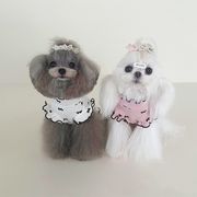 2025夏外出服韓国ファッション犬服 ペット服 ドッグウェア 犬猫兼用 ワンちゃん用 ペット用品 ネコ雑貨