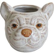 アニマルカップ・オルカ　鉢/植木鉢/ガーデニング/花/園芸/植物