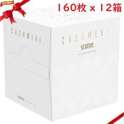 スコッティ カシミヤ キューブ 160枚 x 12箱