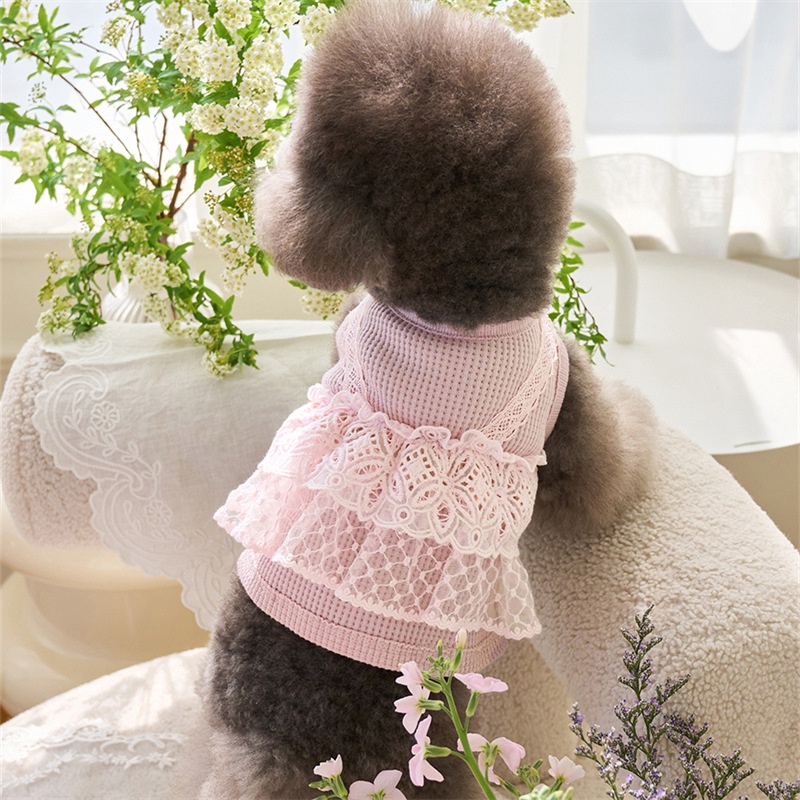 DT☆2025春夏新作 ワッフル編みフリル付きペット服 小型犬・猫用