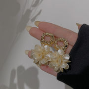 ピアス 耳飾り 激安ピアス 925シルバー イヤリング アクセサリー 気質 おしゃれ プレゼント ギフト