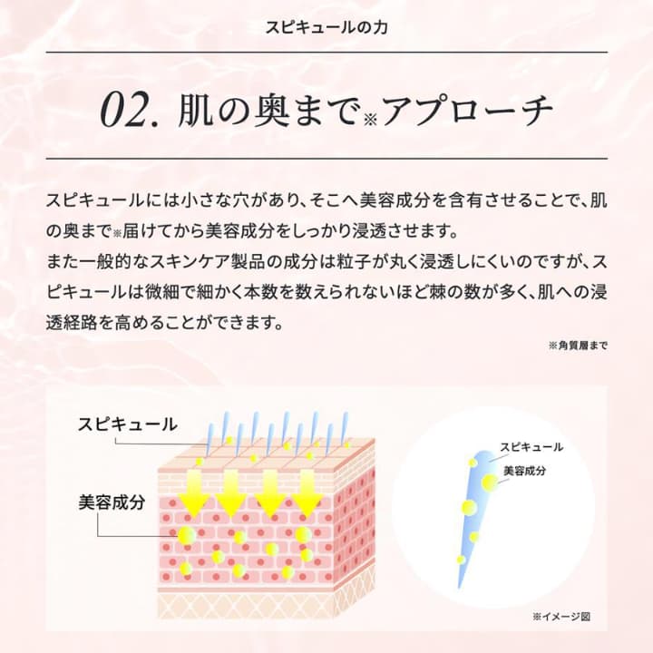 HARI スピキュール+ ヒト幹細胞 クリーム 50ml | 卸売・ 問屋