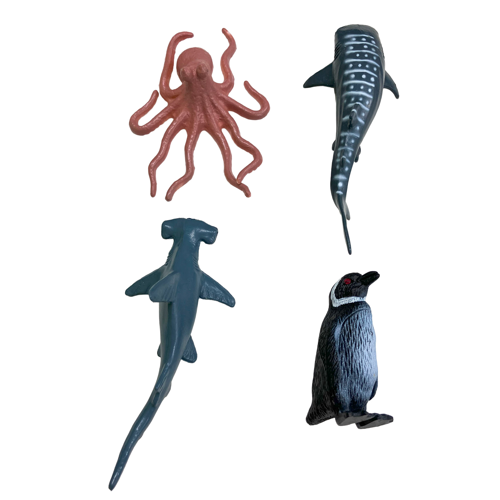 楽天市場】TOYMANY 24PCS海洋生物フィギュア 海の生き物