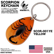 USA ARIZONA SCORPION DROP KEYCHAIN　スコーピオン　キーホルダー　アメリカン雑貨　お守り