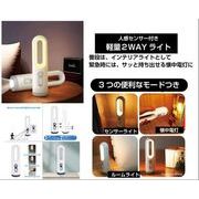 TERAS USB充電式ハンディリングライト ミニ ホワイト 30956