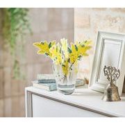 どこでもモイスチャーミモザ