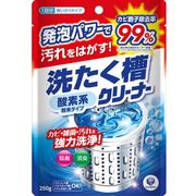 ランドリークラブ　酸素系粉末洗たく槽クリーナー 250g 【洗濯槽用洗浄剤 酸素系粉末タイプ 除菌 消臭】