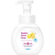 【医薬部外品】第一石鹸　薬用泡ハンドソープ　本体 250ml 【弱酸性 泡タイプ】