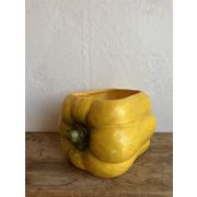 パプリカポット　植木鉢/プランター/園芸/植物