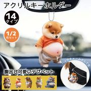 柴犬 アクリルキーホルダー バッグチャーム 犬柄 ころっと可愛い マスコット キーチェーン 犬グッズ