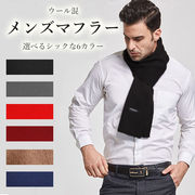 シンプル 無地 マフラー メンズ 男性 ストール ビジネス カジュアル 上品 きれいめ 誕生日