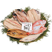 わじまの朝　大きな干物セット