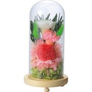 お供えガラスドームアレンジメント 紗奈（さな） C29320