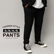 大きいサイズ イージーパンツ メンズ 3L 4L 5L ウエストゴム ストレッチ チノパン ズボン 春服 夏服 25新作