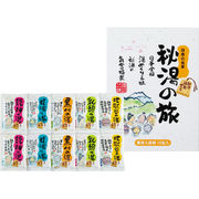 薬用入浴剤 秘湯の旅25g×10P PH-10PN