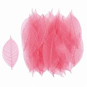 【2026年SS新作】ドライフラワー　ミニスケルトンリーフ小　PK　40枚　FD051493-028