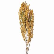 【2026年SS新作】ドライフラワー　ミモザ　1束（2本入り）FD210015-zzz