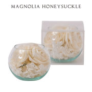 【香り付 Sola Flower】ソラリウム（グラスボウル） マグノリア ハニーサックル