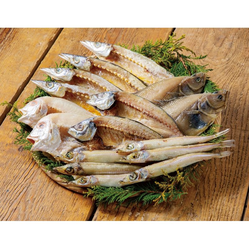 山陰海鮮一夜干しセット 6366-50【直送品】［送料無料］