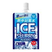 【夏季限定】熱中対策水アイススラリー　サイダー風味 120g 【熱中症対策 暑さ対策】