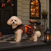 2026.8★い ペット服★小型犬服  ★ドレス  ★犬猫兼用★ペット用品★ 抜け毛防止★ロリータ