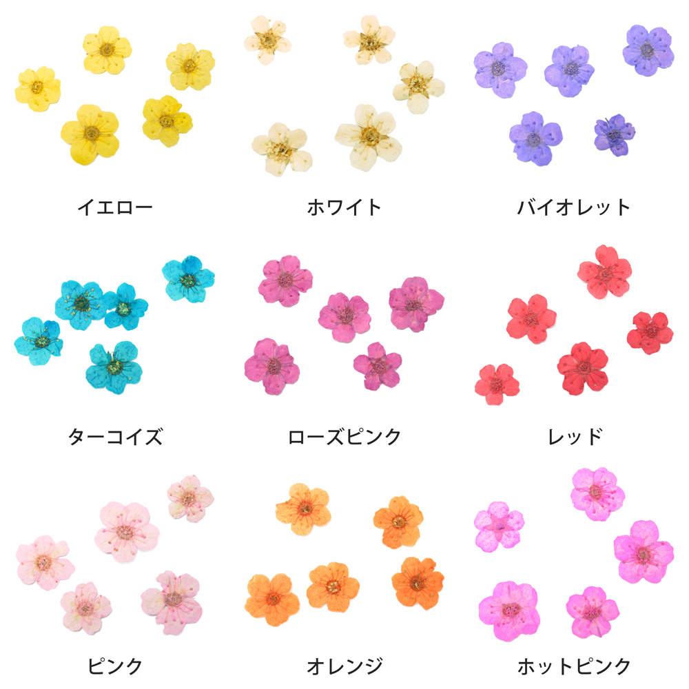 【ネイル業務用】ドライフラワー5枚花　2000枚パック　小花　押し花