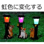 虹色に光る かわいい ソーラー ＬＥＤ ガーデンライト子犬