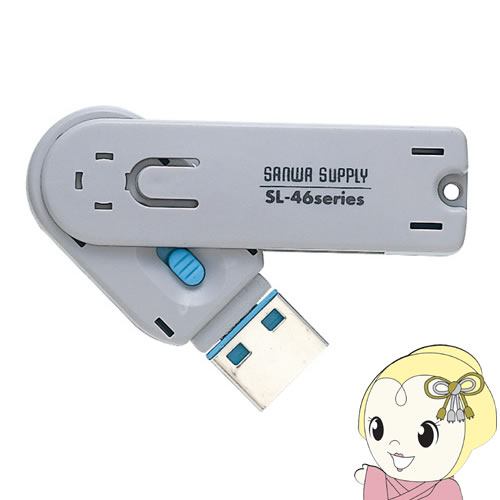 【マイナンバー制度対策にも】 SL-46-BL サンワサプライ USBコネクタ取付けセキュリティ ブルー