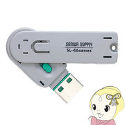 【マイナンバー制度対策にも】 SL-46-G サンワサプライ USBコネクタ取付けセキュリティ グリーン