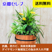 ☆● 【wgp-300】 ☆ 人工観葉植物 造花 触媒加工品 オフィスグリーン 99999