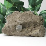 【天然石 パワーストーン】ハーキマーダイヤモンド（ハーキマー水晶）母岩付303g