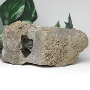 【天然石 パワーストーン】ハーキマーダイヤモンド（ハーキマー水晶）母岩付525g