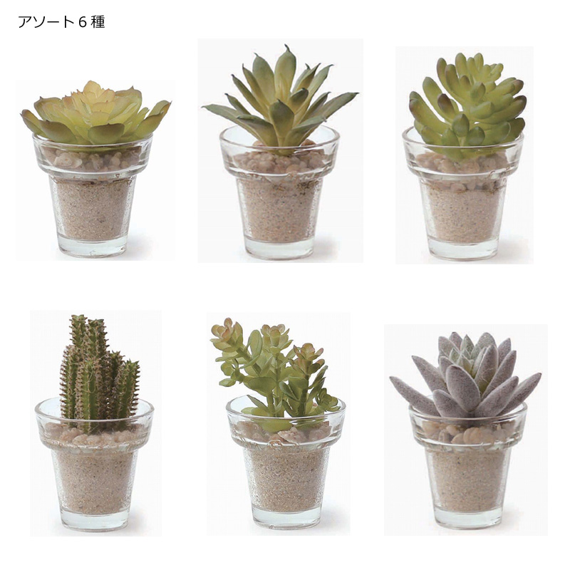 キーストーン Sale イミテーションエアプランツ マクラメハンギング ミニ 雑貨 ｐａｄｄｙ ｓ ｍａｒｋｅｔ パディスマーケット 問屋 仕入れ 卸 卸売の専門 仕入れならnetsea