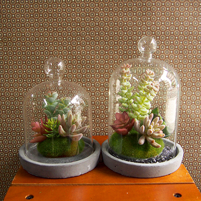 お部屋をグッと華やかに枯れない植物で作る手軽な癒し空間【イミテーションテラリウム・ドーム・S/L】