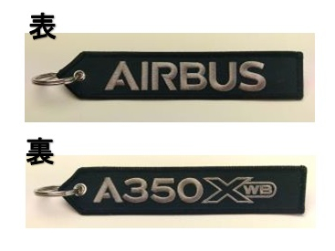 LIMOX/リモックス キーチェーン： エアバス A350 XWB RBF