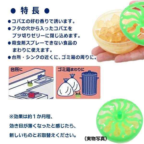 ハエ駆除撃退ゼリー 60g 約1ヶ月有効 置くだけ コバエ退治 ゴミ箱台所 香りでキャッチ コバエとりゼリー 雑貨 株式会社 ライズジャパン 問屋 仕入れ 卸 卸売の専門 仕入れならnetsea ハエ駆除撃退ゼリー 60g 約1ヶ月有効 置くだけ コバエ退治 ゴミ箱台所 香りでキャッチ コバエとりゼリー 雑貨 株式会社 ライズジャパン 問屋 仕入れ 卸 卸売の専門 仕入れならnetsea