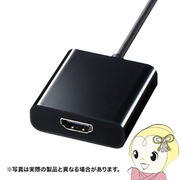AD-ALCHD01 サンワサプライ USB Type C-HDMI変換アダプタ